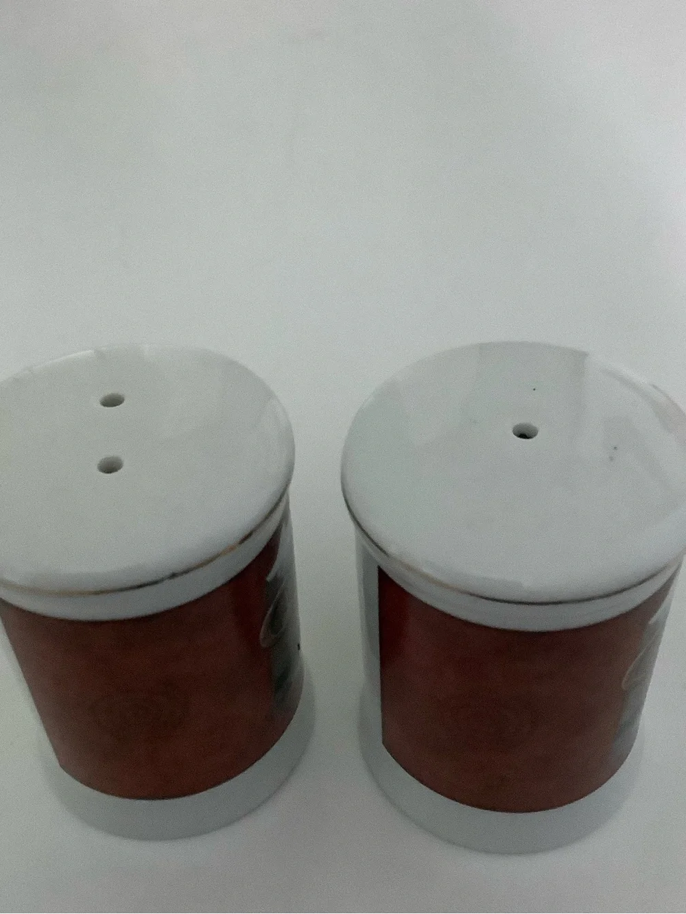 Grand Canyon Souvenir Ceramic Salt & Pepper Shakers in White with Brown Accents